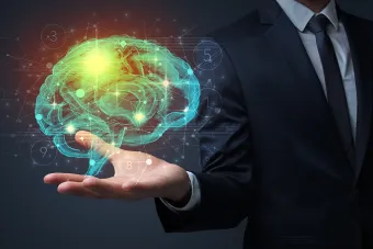 Brain