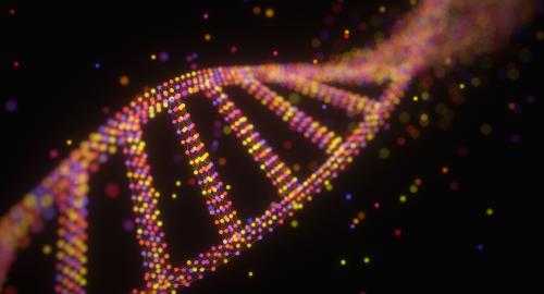 DNA Molecule Structure