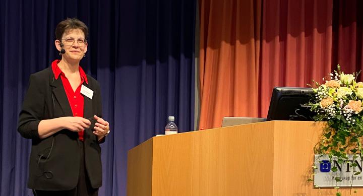 Dr. Goldstein was the keynote speaker at a conference at the NTNU in Gjøvik.