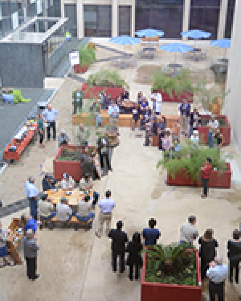 School of Nursing Courtyard